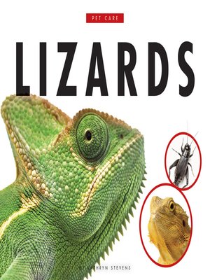 cover image of Lizards